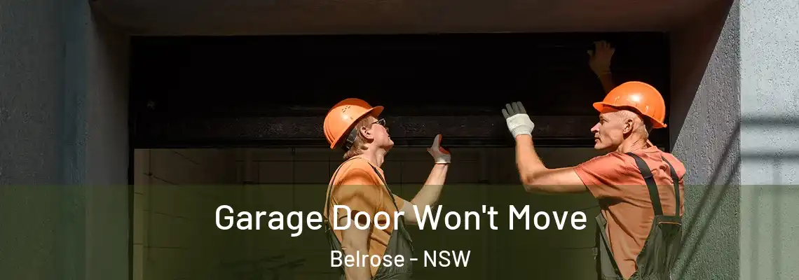 Garage Door Won't Move Belrose - NSW