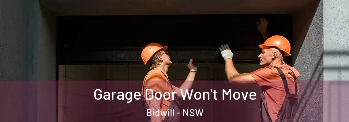 Garage Door Won't Move Bidwill - NSW