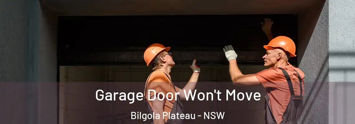 Garage Door Won't Move Bilgola Plateau - NSW