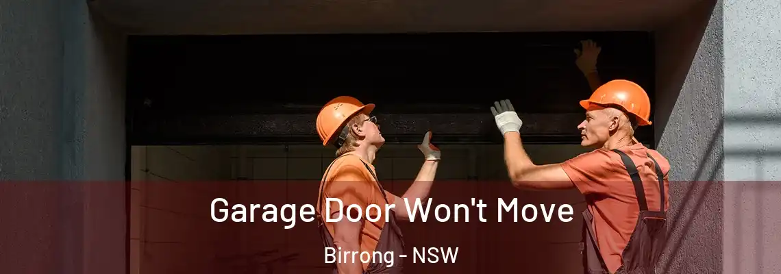 Garage Door Won't Move Birrong - NSW