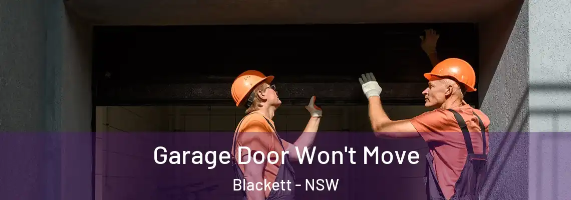Garage Door Won't Move Blackett - NSW