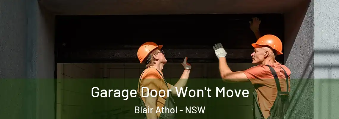 Garage Door Won't Move Blair Athol - NSW