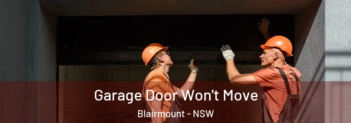 Garage Door Won't Move Blairmount - NSW