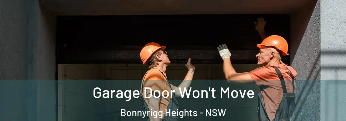 Garage Door Won't Move Bonnyrigg Heights - NSW