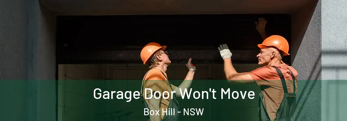 Garage Door Won't Move Box Hill - NSW