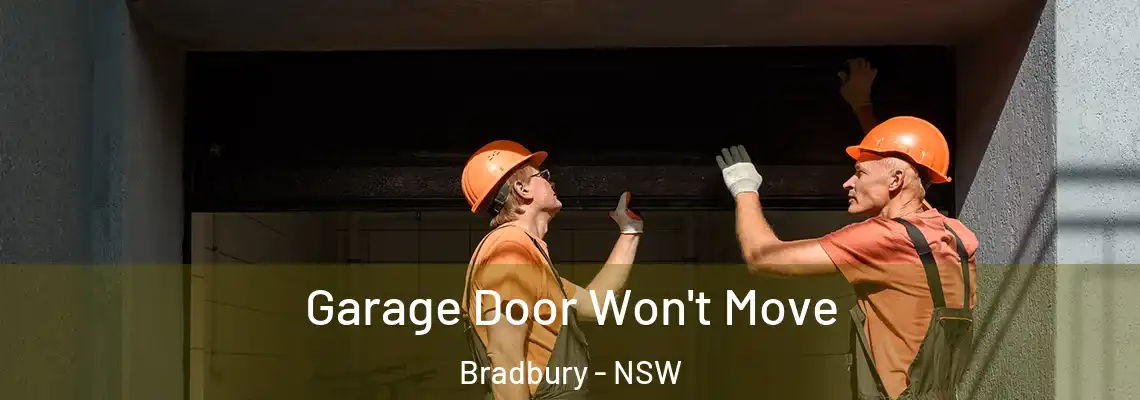 Garage Door Won't Move Bradbury - NSW