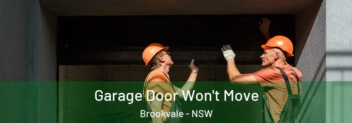 Garage Door Won't Move Brookvale - NSW