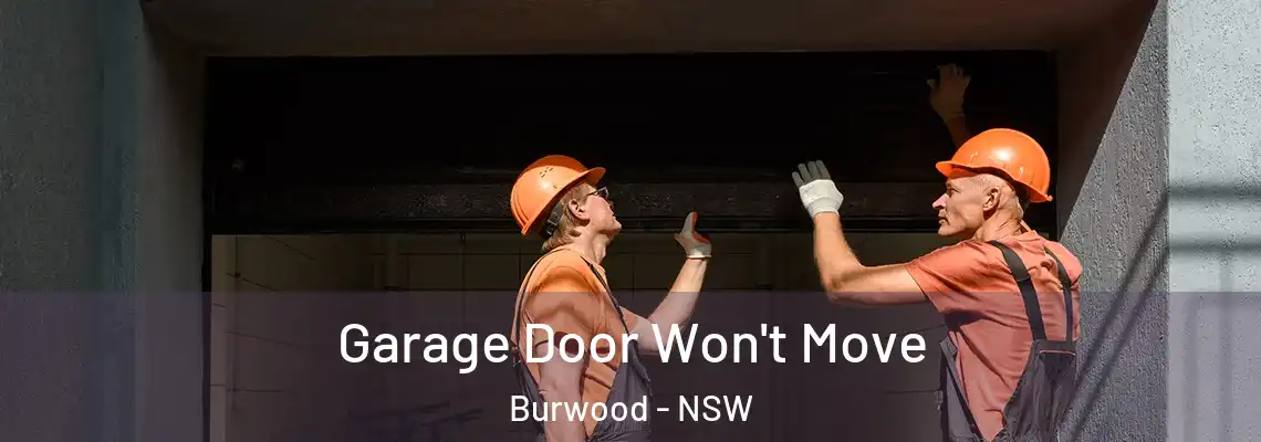 Garage Door Won't Move Burwood - NSW