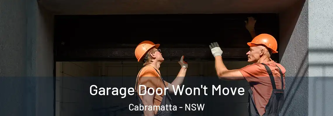 Garage Door Won't Move Cabramatta - NSW
