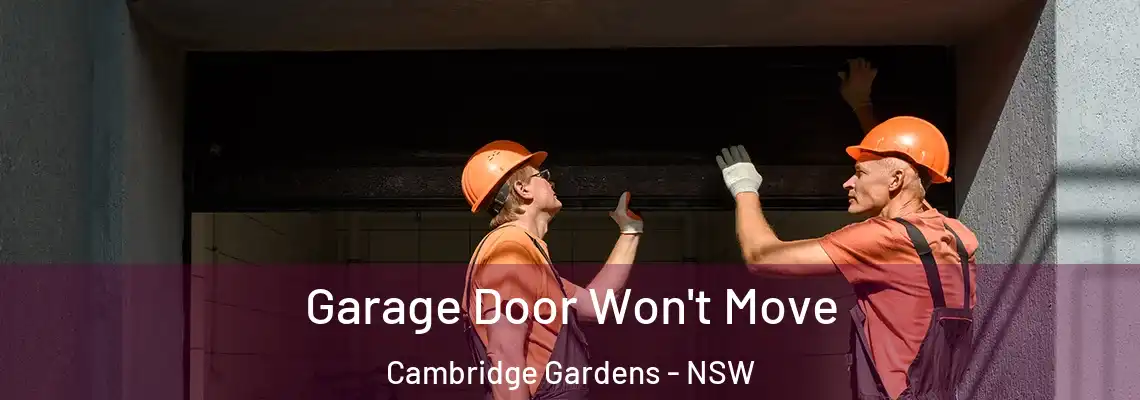 Garage Door Won't Move Cambridge Gardens - NSW