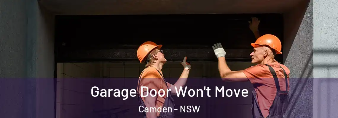 Garage Door Won't Move Camden - NSW