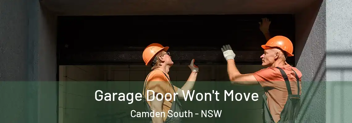Garage Door Won't Move Camden South - NSW