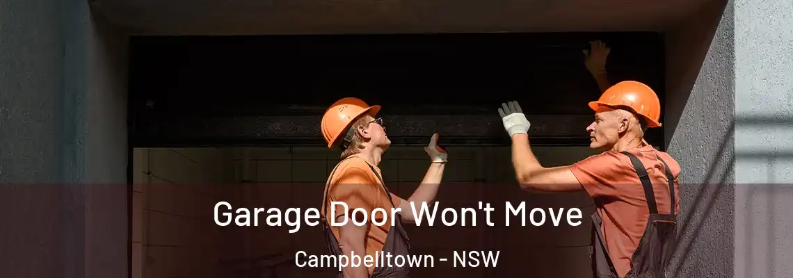 Garage Door Won't Move Campbelltown - NSW