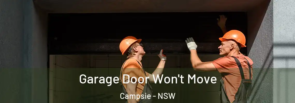 Garage Door Won't Move Campsie - NSW