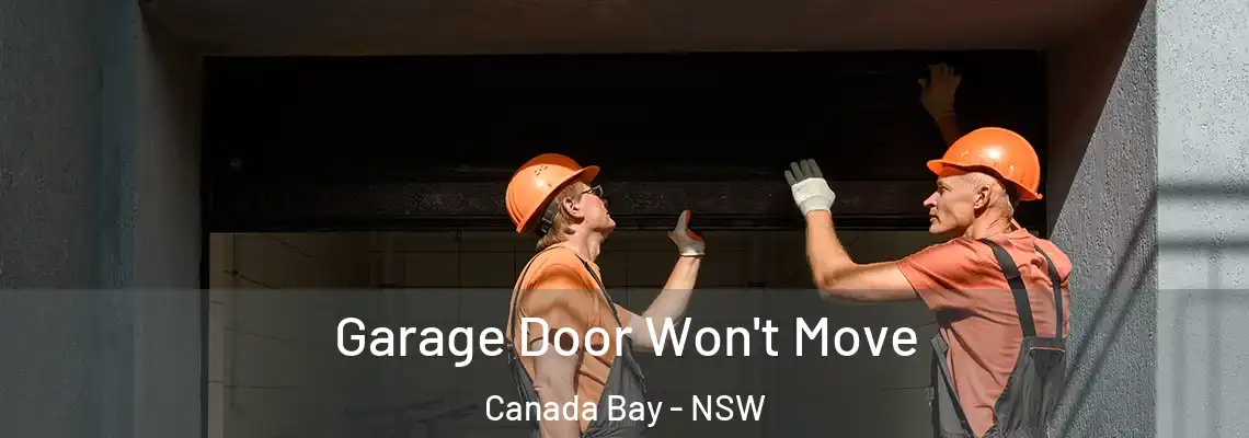 Garage Door Won't Move Canada Bay - NSW