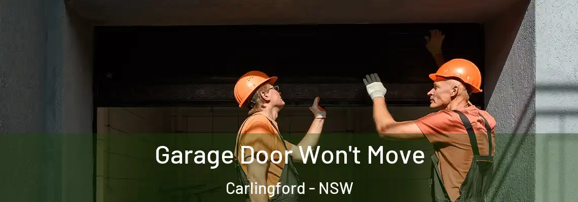 Garage Door Won't Move Carlingford - NSW