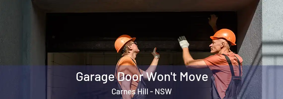 Garage Door Won't Move Carnes Hill - NSW