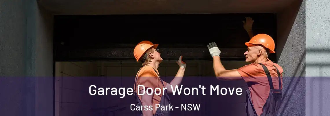 Garage Door Won't Move Carss Park - NSW