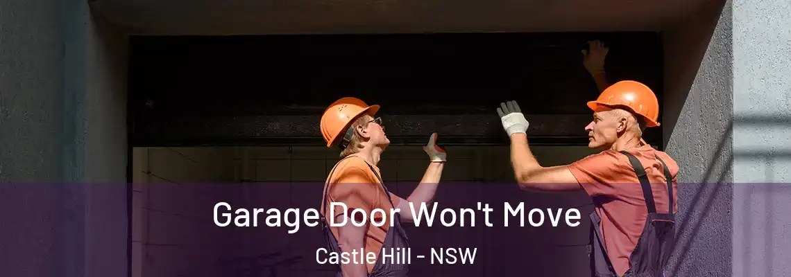 Garage Door Won't Move Castle Hill - NSW