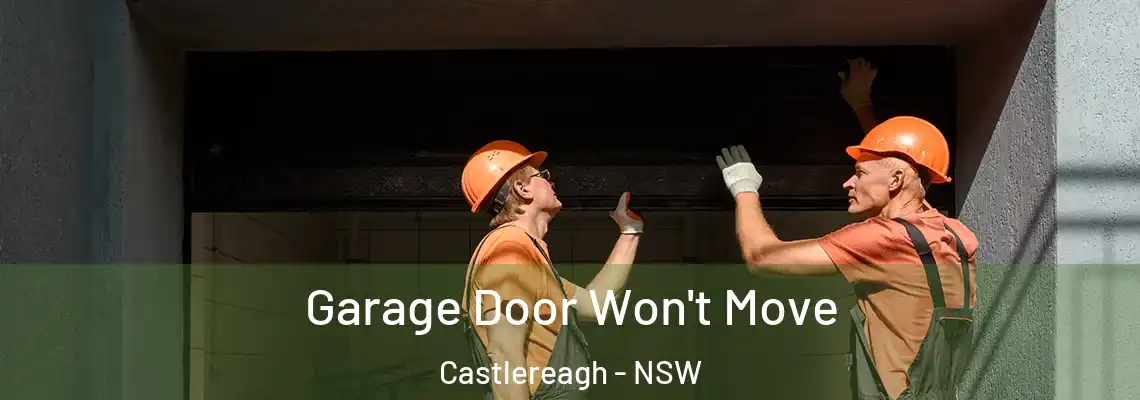 Garage Door Won't Move Castlereagh - NSW