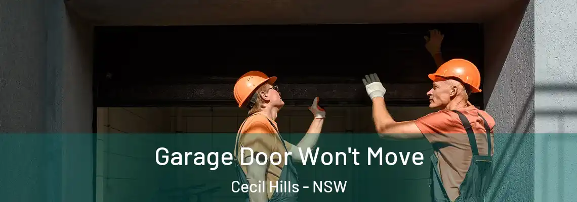 Garage Door Won't Move Cecil Hills - NSW