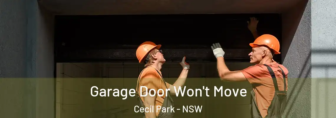 Garage Door Won't Move Cecil Park - NSW