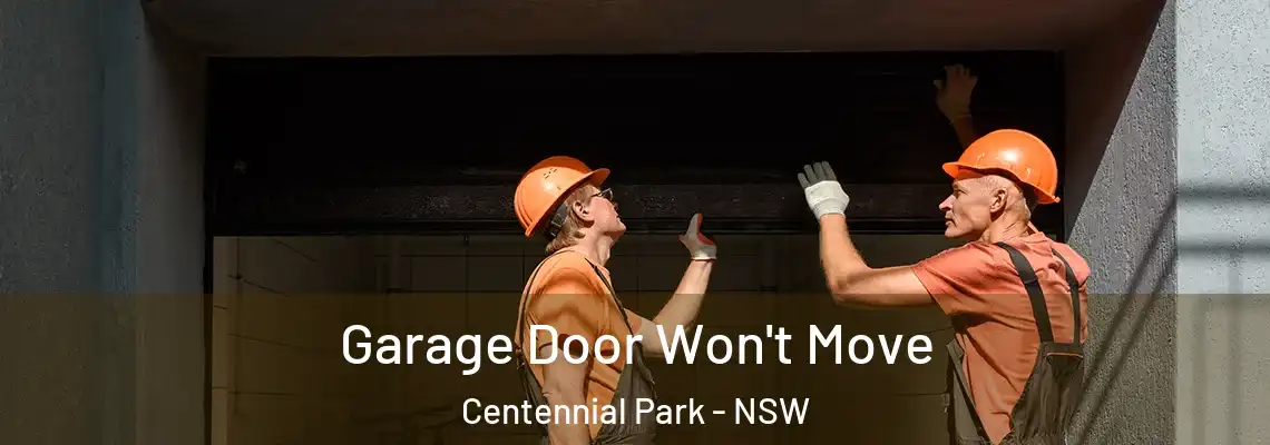 Garage Door Won't Move Centennial Park - NSW