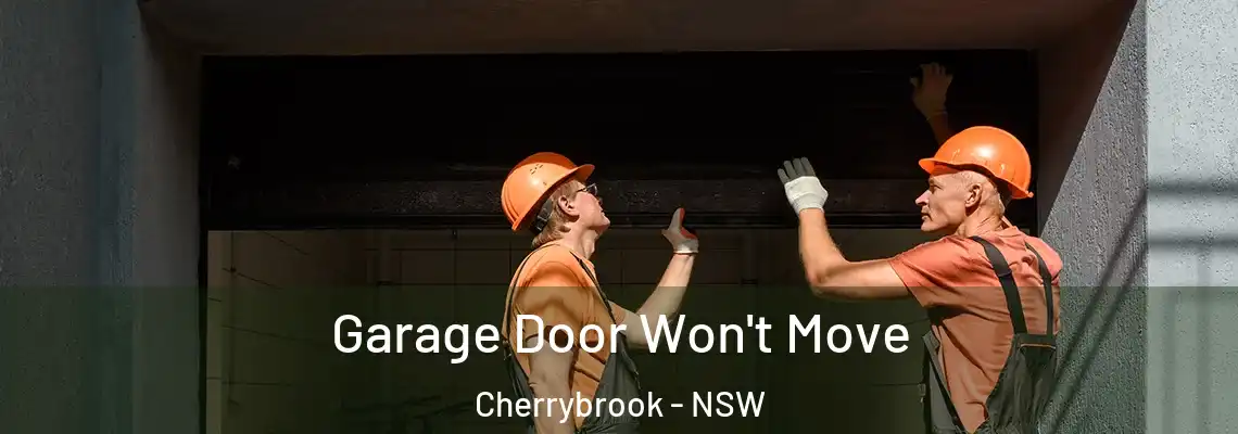 Garage Door Won't Move Cherrybrook - NSW