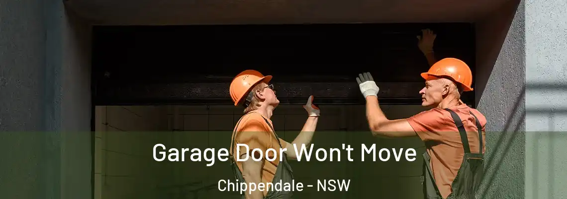 Garage Door Won't Move Chippendale - NSW