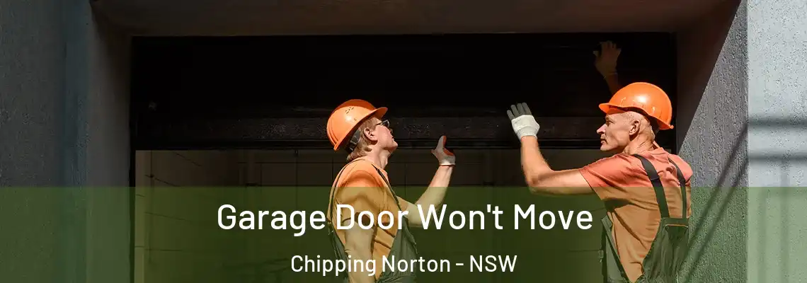 Garage Door Won't Move Chipping Norton - NSW