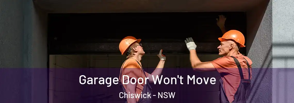 Garage Door Won't Move Chiswick - NSW