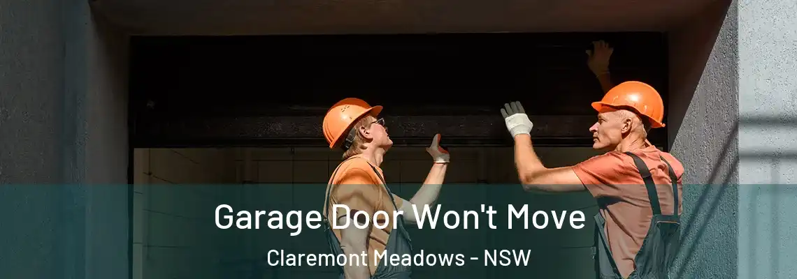Garage Door Won't Move Claremont Meadows - NSW