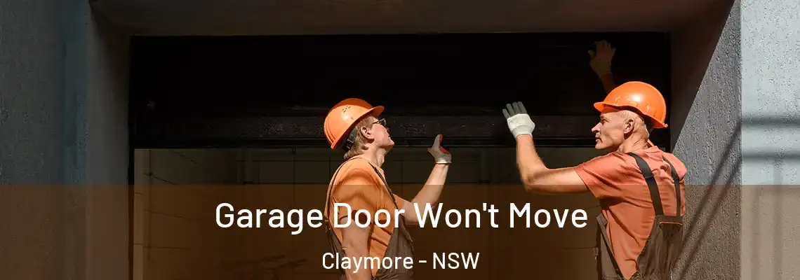 Garage Door Won't Move Claymore - NSW