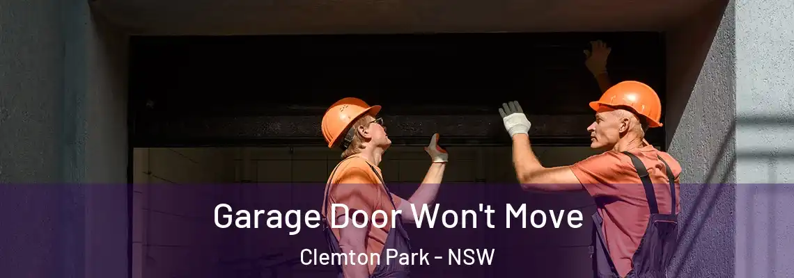 Garage Door Won't Move Clemton Park - NSW