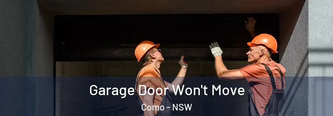 Garage Door Won't Move Como - NSW