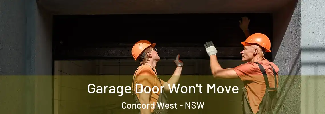 Garage Door Won't Move Concord West - NSW