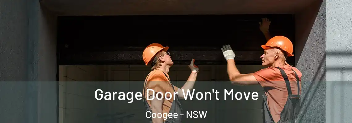 Garage Door Won't Move Coogee - NSW