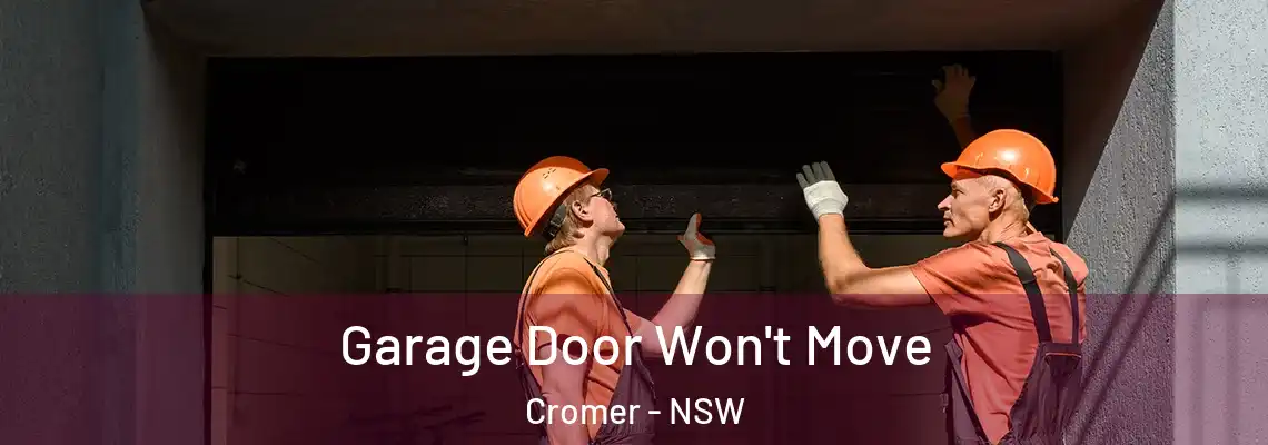 Garage Door Won't Move Cromer - NSW