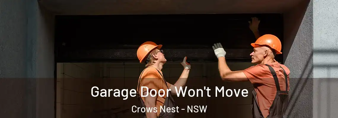 Garage Door Won't Move Crows Nest - NSW
