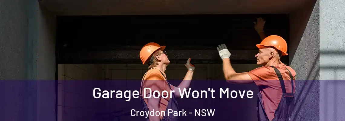Garage Door Won't Move Croydon Park - NSW