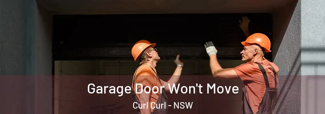 Garage Door Won't Move Curl Curl - NSW