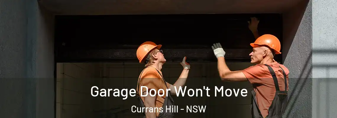 Garage Door Won't Move Currans Hill - NSW