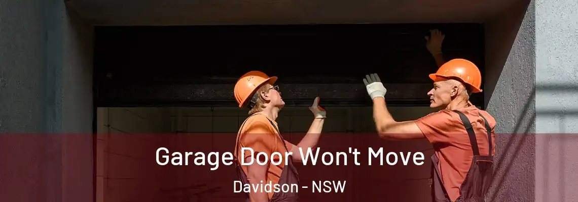Garage Door Won't Move Davidson - NSW