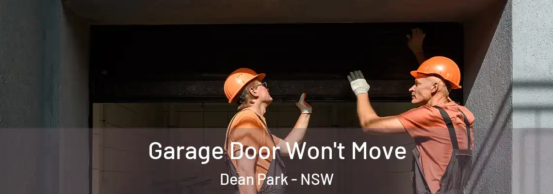 Garage Door Won't Move Dean Park - NSW