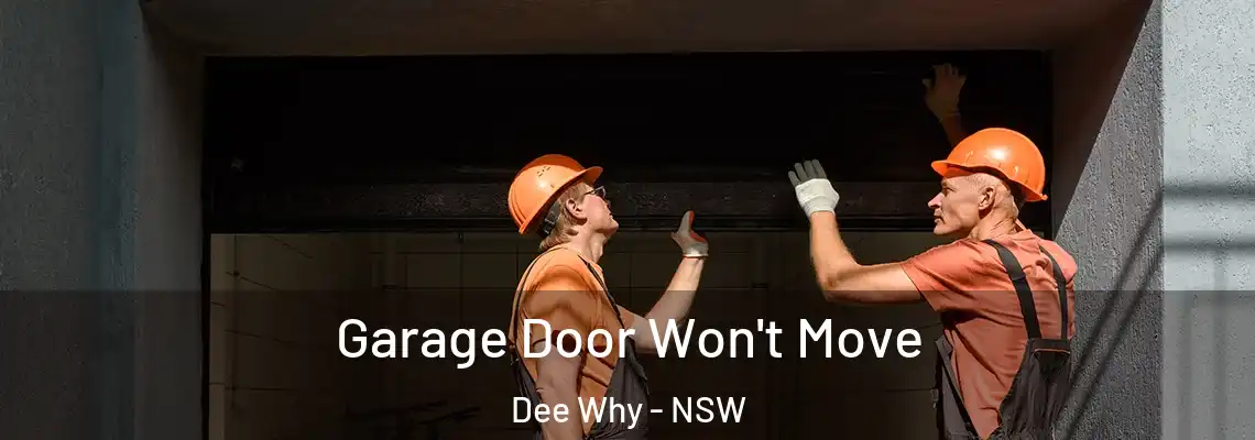 Garage Door Won't Move Dee Why - NSW