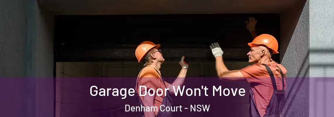 Garage Door Won't Move Denham Court - NSW