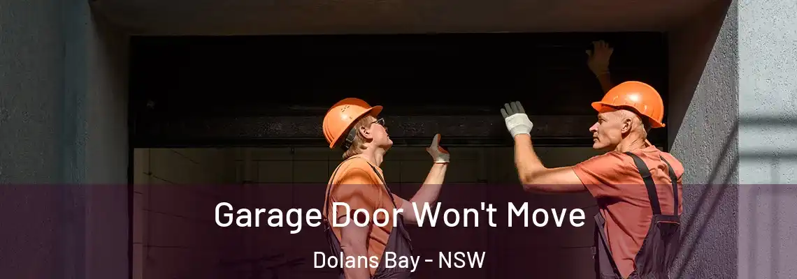 Garage Door Won't Move Dolans Bay - NSW