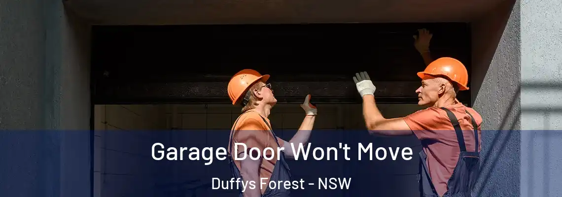 Garage Door Won't Move Duffys Forest - NSW