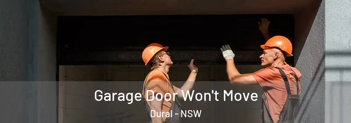 Garage Door Won't Move Dural - NSW