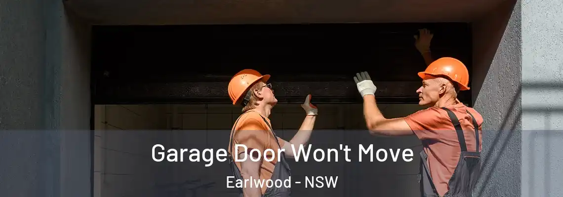 Garage Door Won't Move Earlwood - NSW